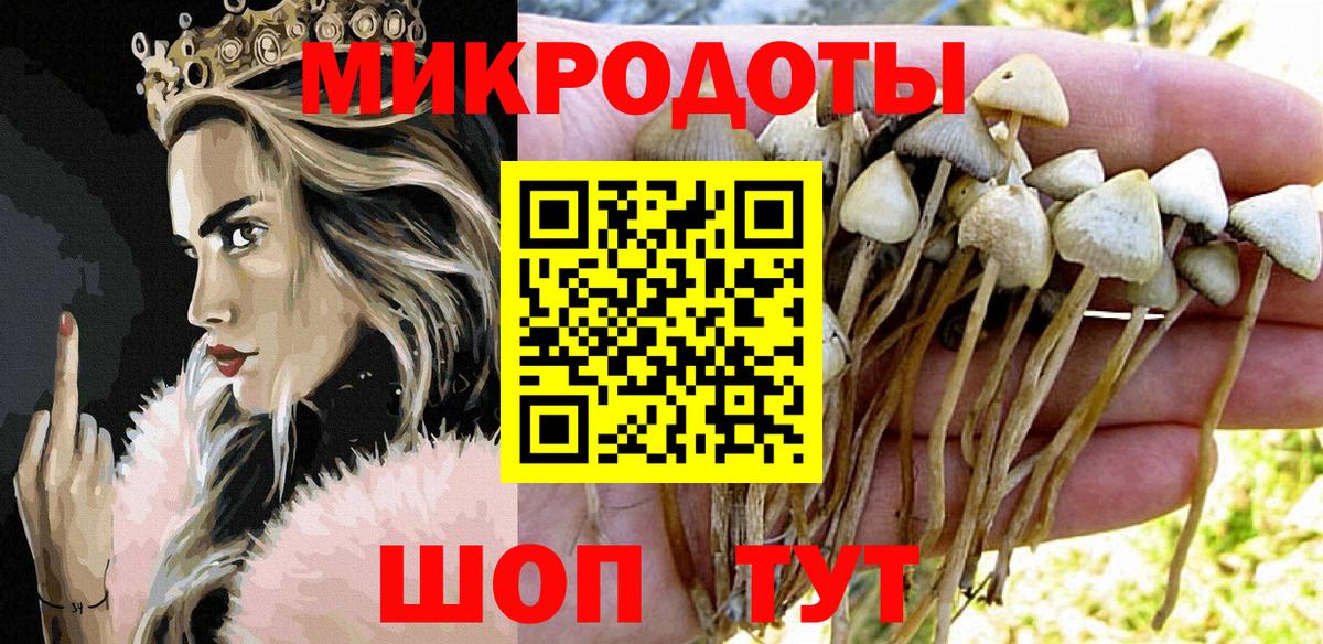 Губкин  Галлюциногенные грибы Psilocybe  Вход с VPN 